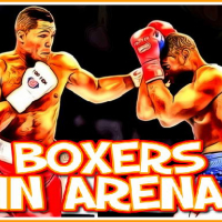 Boxers in Arena Online
